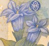 10000 lei – an 1999 - avers