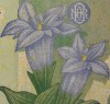 10000 lei – an 2001 – Coala – Mugur Isarescu - avers