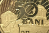 50 bani – Vladislav I Vlaicu - avers