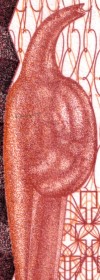 500 lei – an 1992 - avers